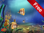Animated Aquarium Screensaver - Windows 10 Aquarium Screensaver