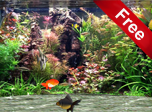 Fantastic Aquarium 3D Screensaver - Windows 10 4k Screensavers