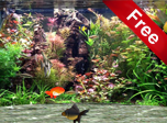 Fantastic Aquarium 3D