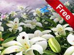 Flowers And Butterflies Screensaver - Free Flowers Screensaver for Windows 10