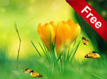 Spring Charm Screensaver - Free Windows 10 Spring Screensaver