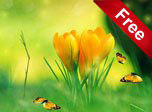 Spring Charm Screensaver - Windows 10 Animated Screensavers