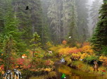 Autumn Fantasy Screensaver - Windows 10 free Autumn screensaver - Screenshot 1