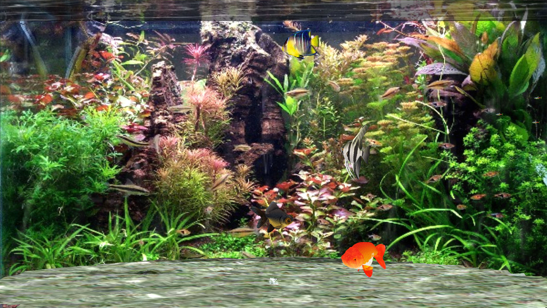Aquarium Screensaver for Windows 10 - Fantastic Aquarium 3D Screensaver -  