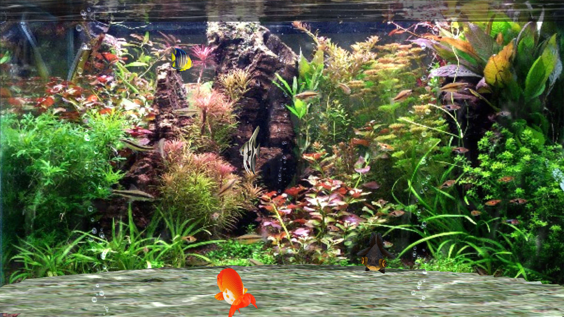 3d desktop aquarium screensaver for windows 8