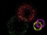 Fireworks 3D Screensaver - Free Fireworks 3D Screensaver for Windows 10 - Screenshot 5