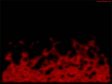 Flame Screensaver - Windows 10 Free Flame Screensaver - Screenshot 1