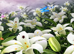 Flowers And Butterflies Screensaver - Free Flowers Screensaver for Windows 10 - Screenshot 1