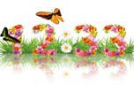 Flowers Time Screensaver - Windows 10 Time Screensaver - Screenshot 3