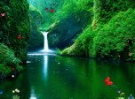 Green Waterfalls Screensaver - Windows 10 Free Waterfalls Screensaver - Screenshot 1