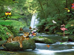 Jungle Falls Screensaver - Windows 10 Jungle Screensaver - Screenshot 3