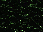 Neurons Galaxy Screensaver - Neurons Screensaver for Windows 10 - Screenshot 2