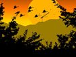 Paradise Birds Screensaver - Windows 10 Birds Screensaver - Screenshot 1