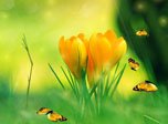 Spring Charm Screensaver - Free Windows 10 Spring Screensaver - Screenshot 1